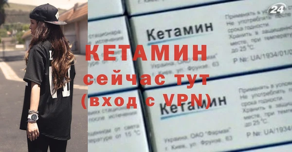 прущие грибы Заводоуковск