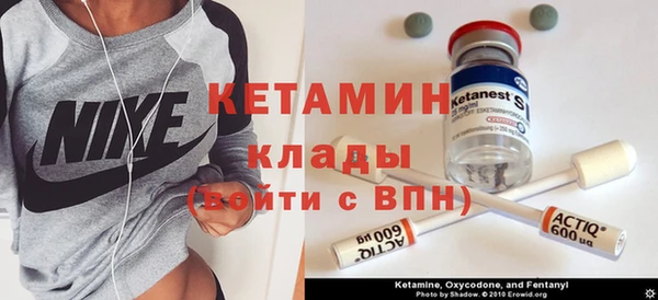 прущие грибы Заводоуковск