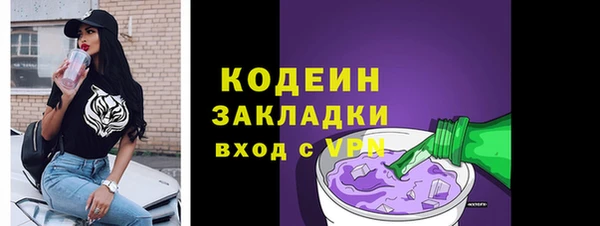 прущие грибы Заводоуковск