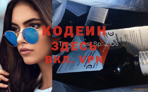 прущие грибы Заводоуковск