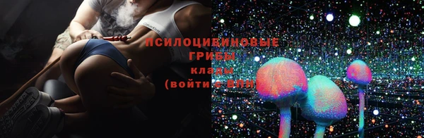 прущие грибы Заводоуковск